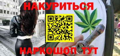 сатива Новодвинск