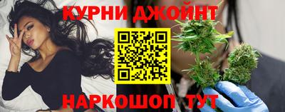 сатива Новодвинск