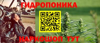 сатива Новодвинск